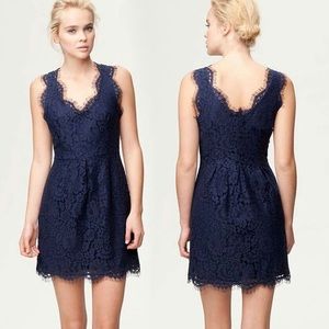 Joie Navy blue lace dress.